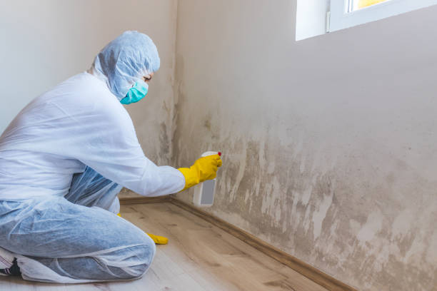 Mold Remediation specialist working in Randallstown