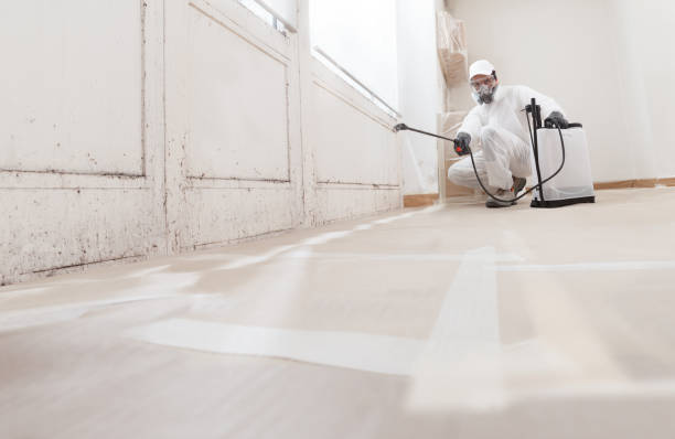 Black mold remediation team in Randallstown